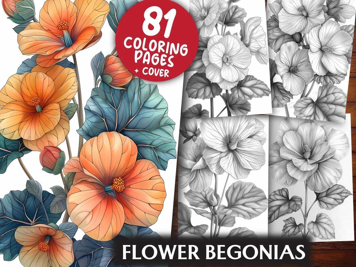 Flower Begonias Coloring Books - CraftNest