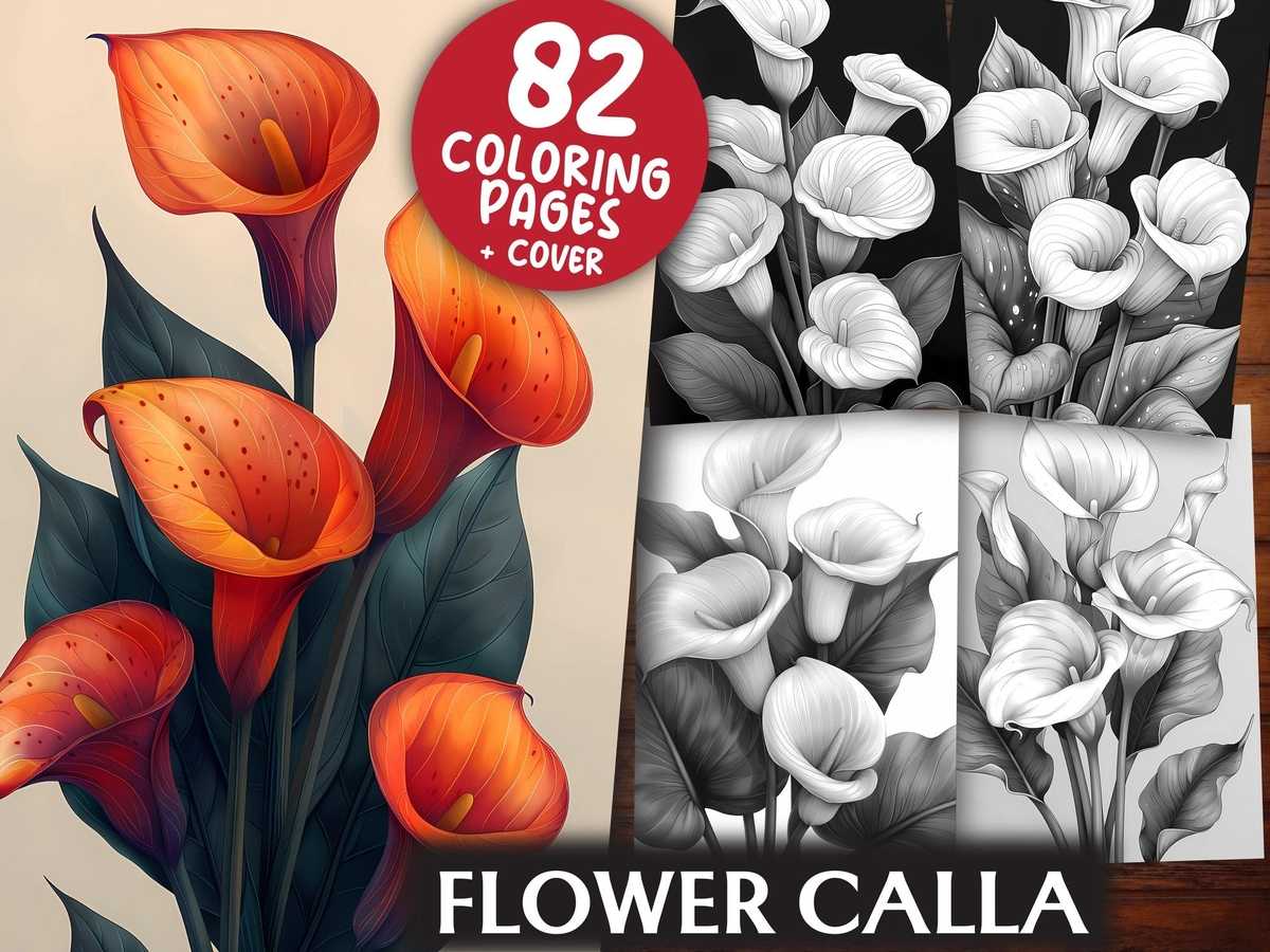 Flower Calla Coloring Books - CraftNest