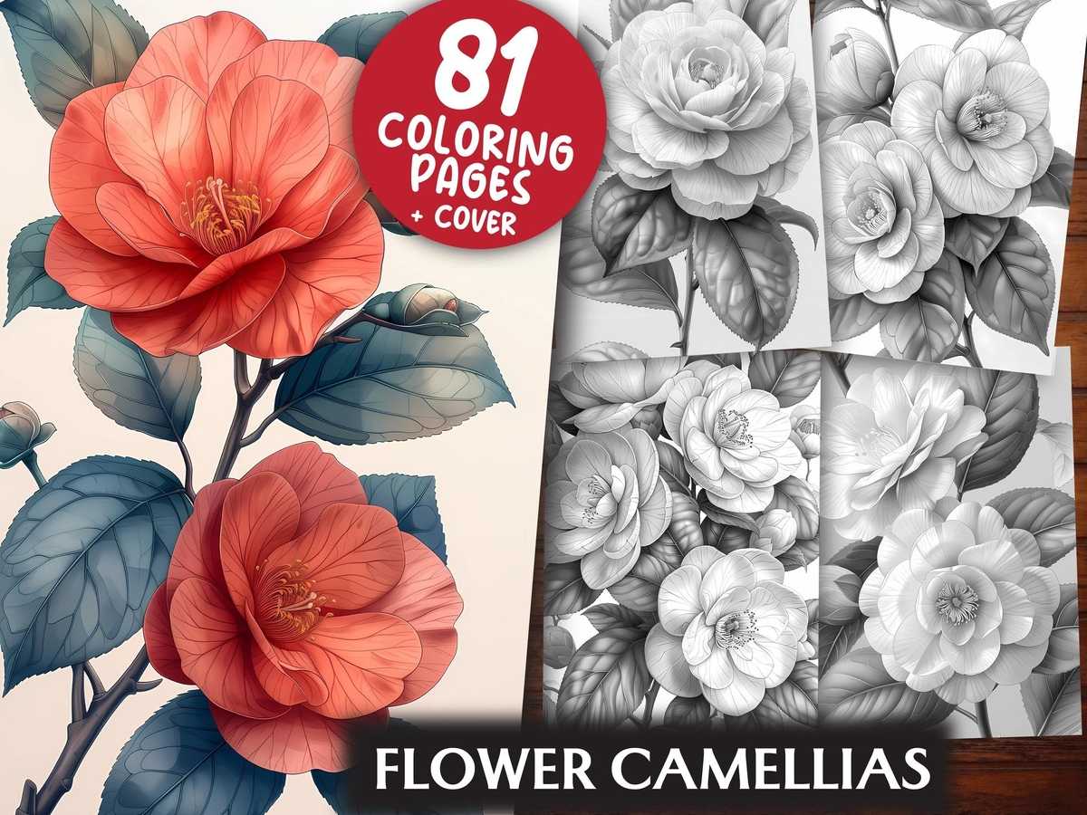 Flower Camellias Coloring Books - CraftNest