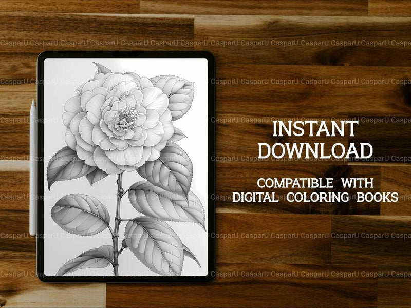 Flower Camellias Coloring Books - CraftNest