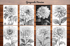 Flower Chrysanthemums Coloring Books - CraftNest