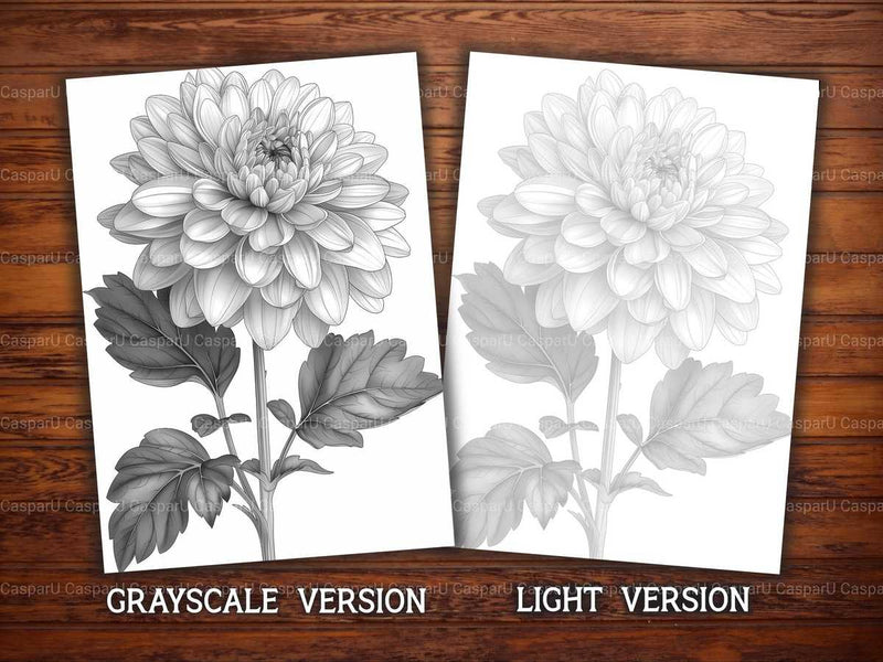 Flower Chrysanthemums Coloring Books - CraftNest