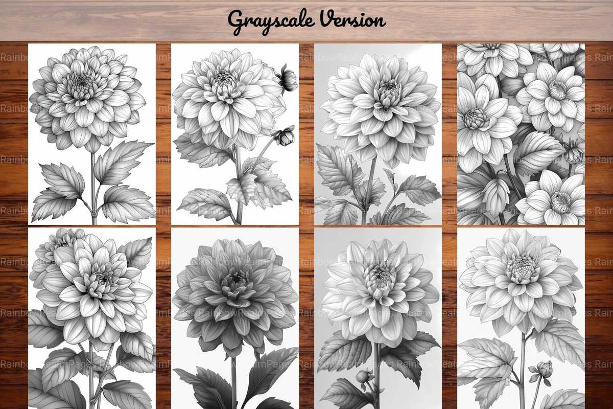 Flower Dahlias Coloring Books - CraftNest