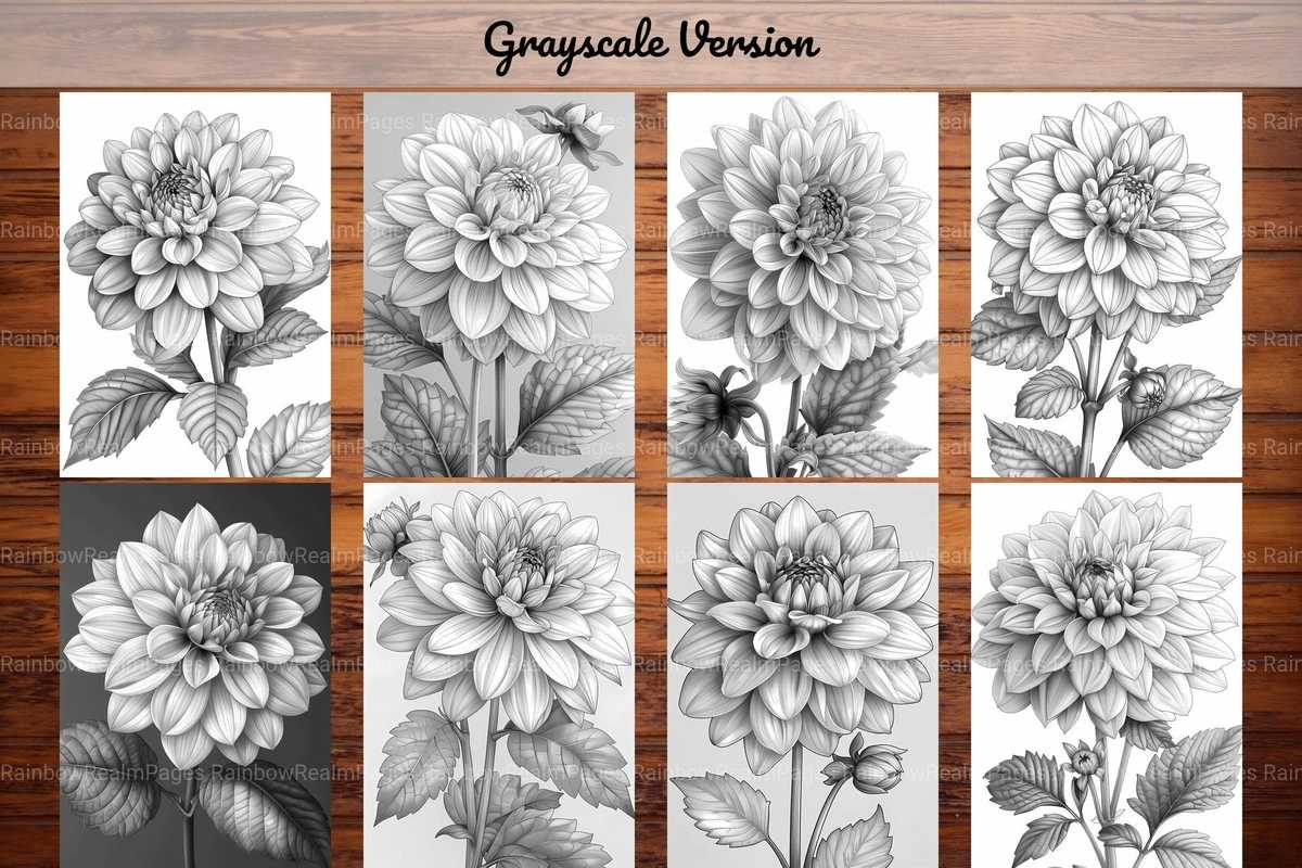 Flower Dahlias Coloring Books - CraftNest