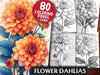 Flower Dahlias Coloring Books