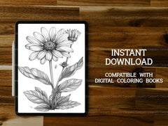 Flower Daisies Coloring Books - CraftNest