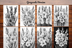 Flower Gladiolus Coloring Books - CraftNest