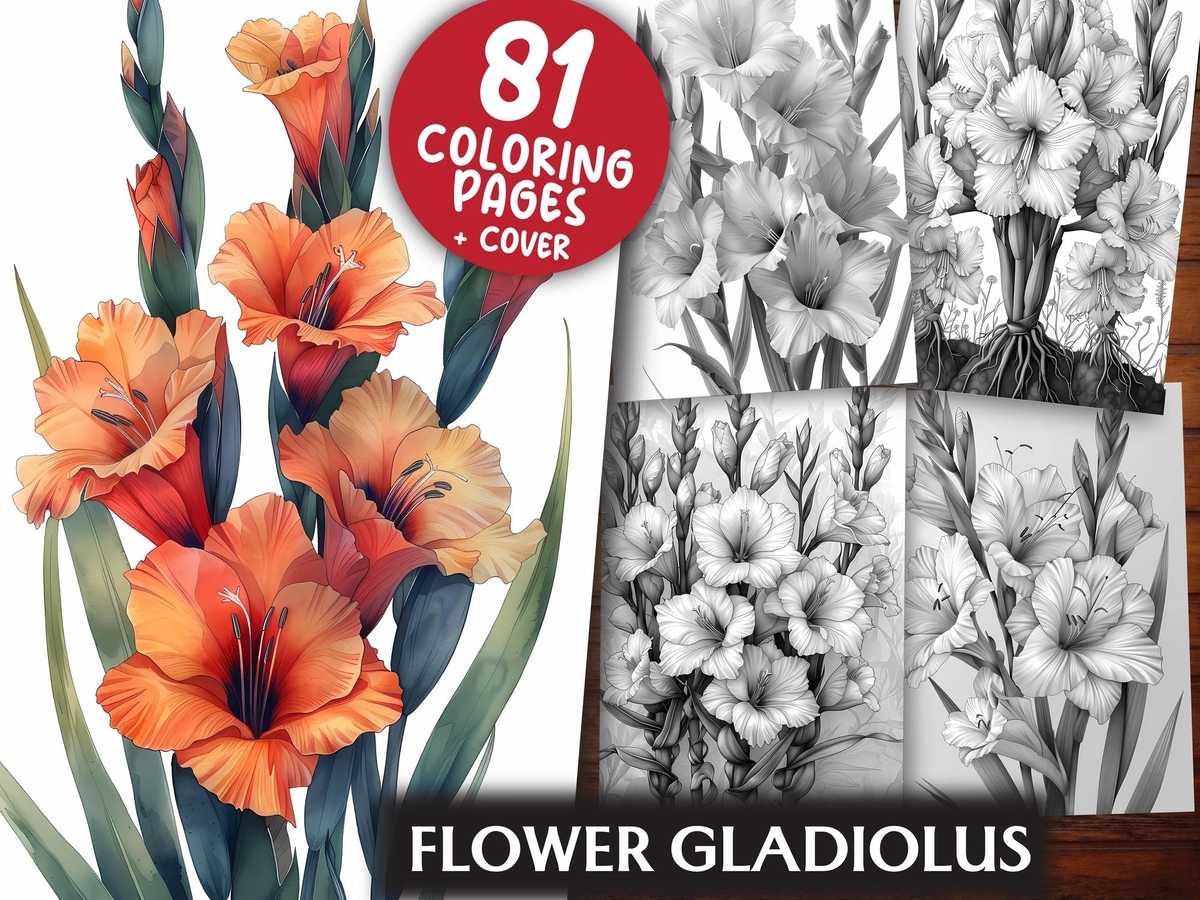 Flower Gladiolus Coloring Books - CraftNest