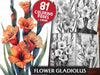 Flower Gladiolus Coloring Books