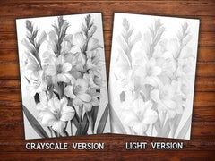 Flower Gladiolus Coloring Books - CraftNest