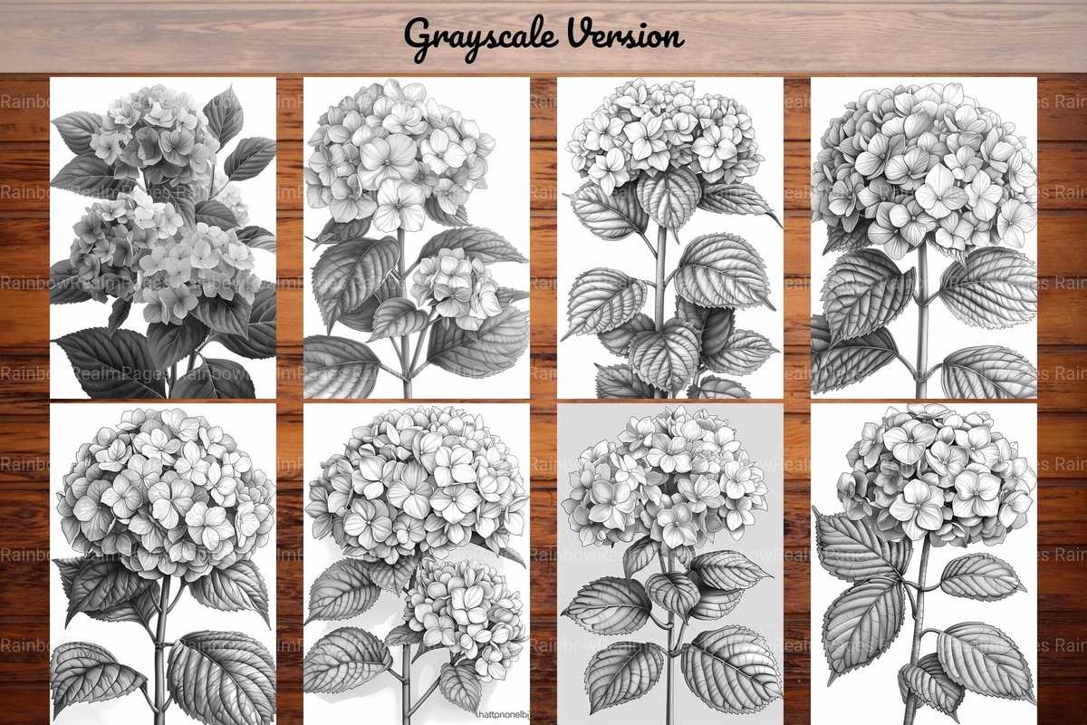 Flower Hydrangeas Coloring Books - CraftNest