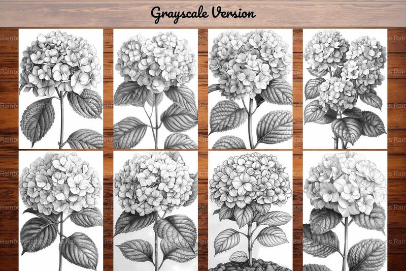 Flower Hydrangeas Coloring Books - CraftNest