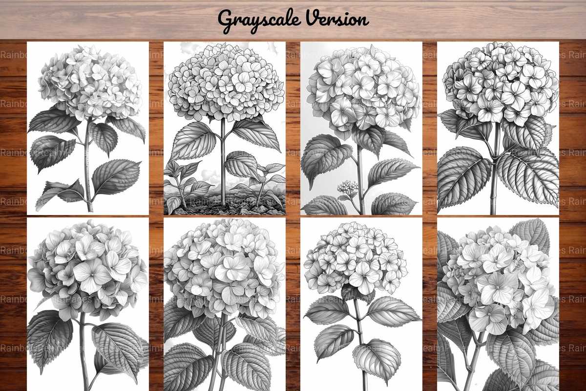 Flower Hydrangeas Coloring Books - CraftNest