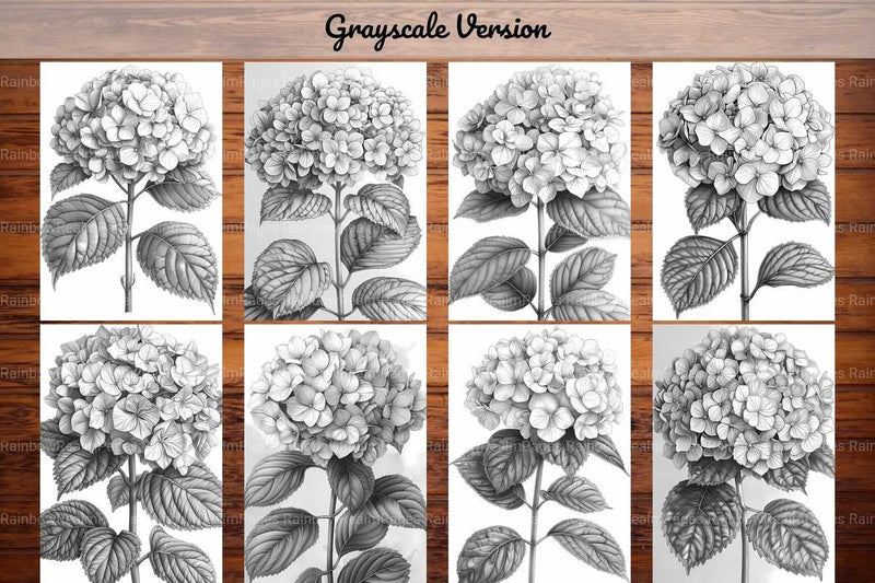 Flower Hydrangeas Coloring Books - CraftNest