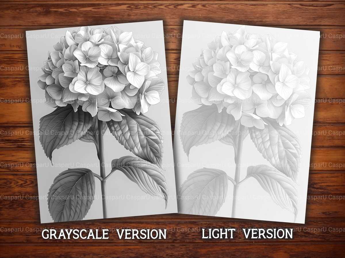 Flower Hydrangeas Coloring Books - CraftNest