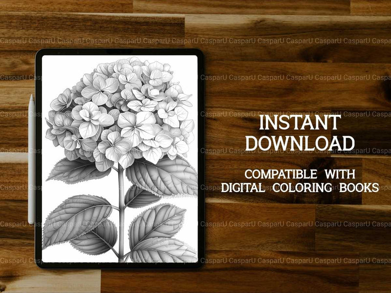 Flower Hydrangeas Coloring Books - CraftNest