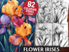 Flower Irises Coloring Books