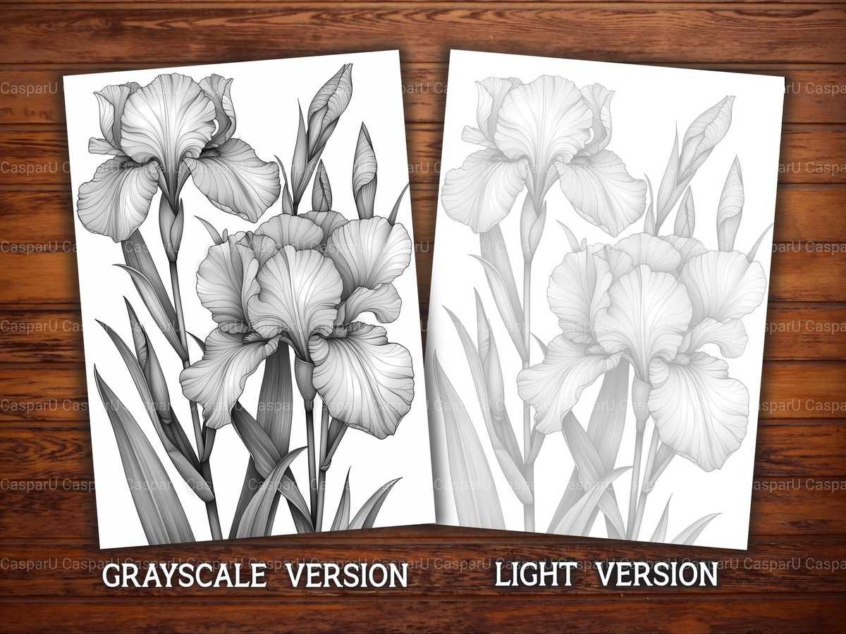 Flower Irises Coloring Books - CraftNest