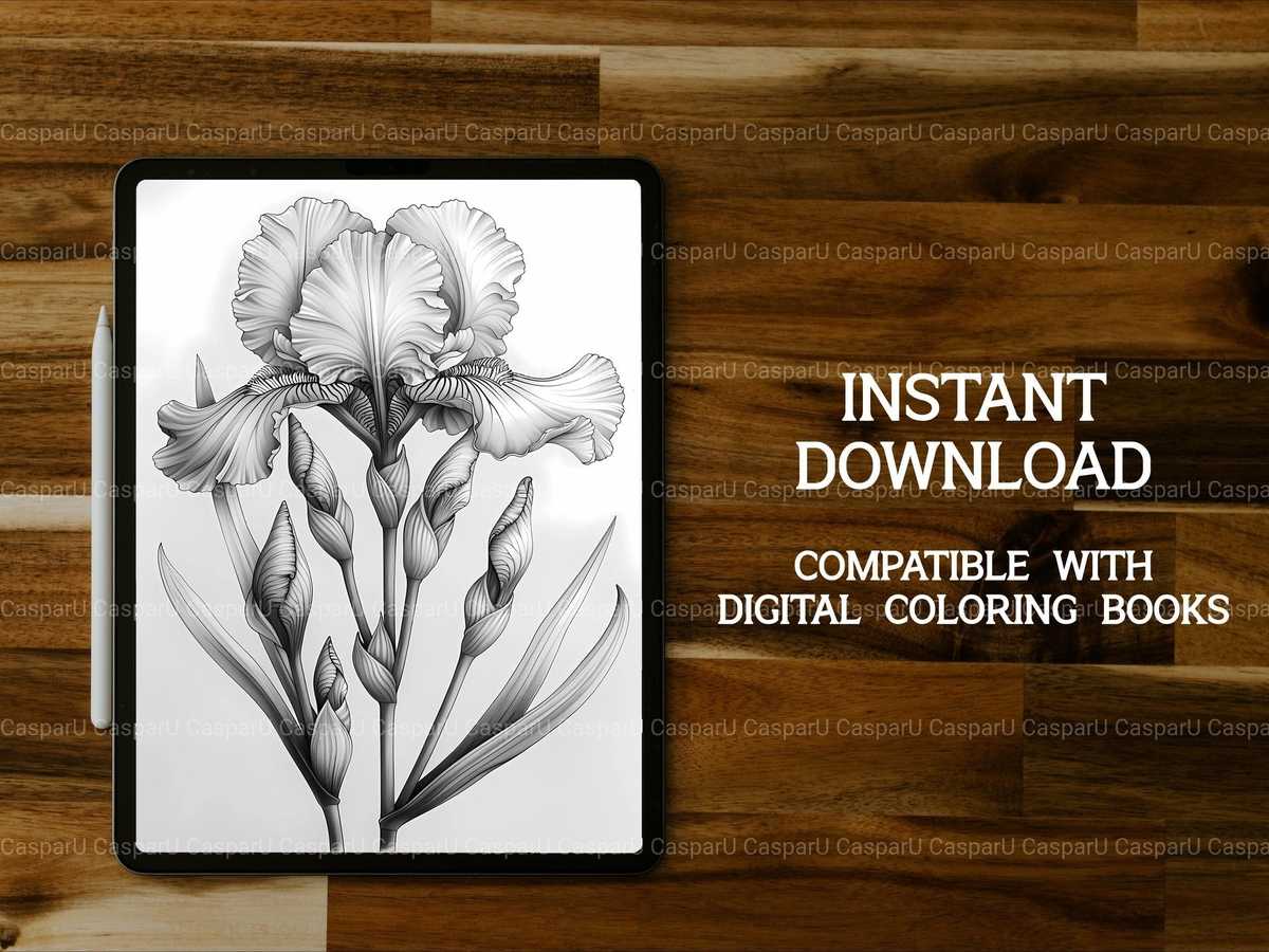 Flower Irises Coloring Books - CraftNest