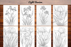 Flower Irises Coloring Books - CraftNest