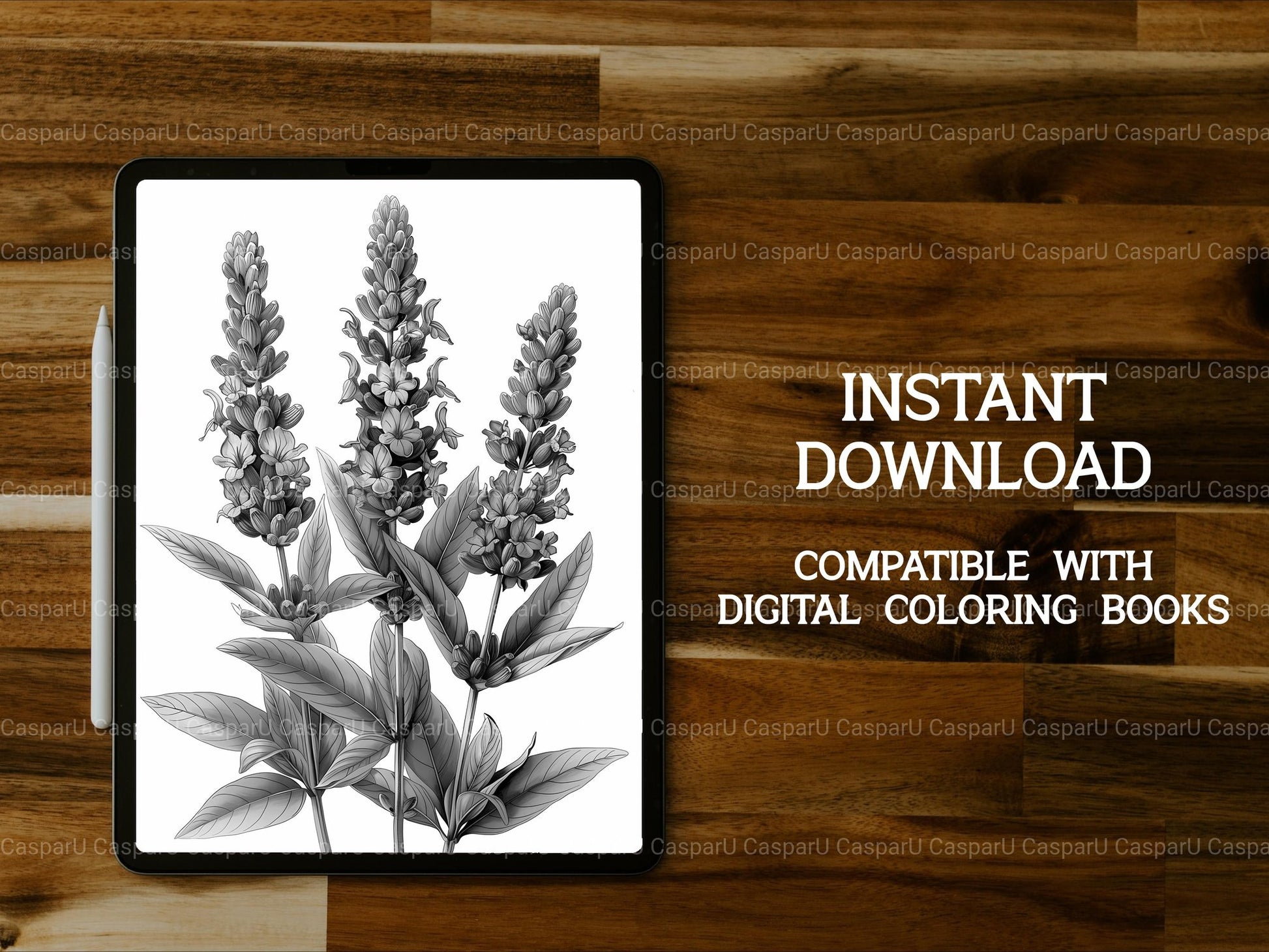 Flower Lavender Coloring Books - CraftNest