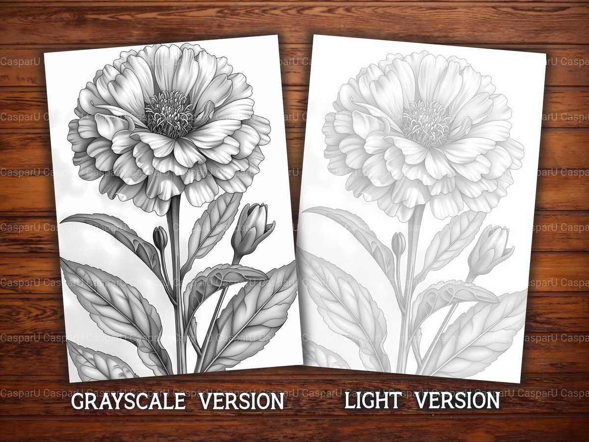 Flower Marigolds Coloring Books - CraftNest