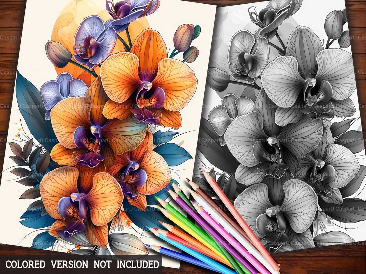 Flower Orchids Coloring Books - CraftNest