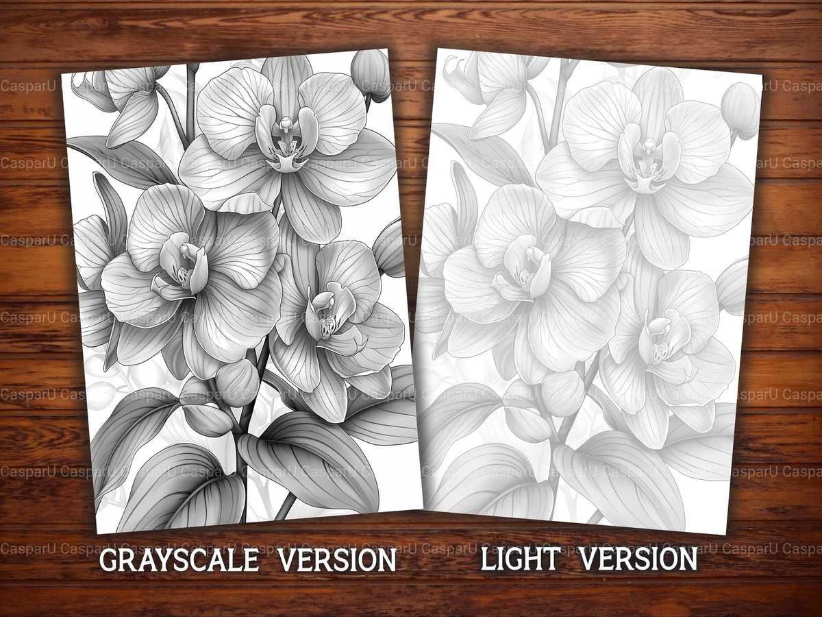 Flower Orchids Coloring Books - CraftNest