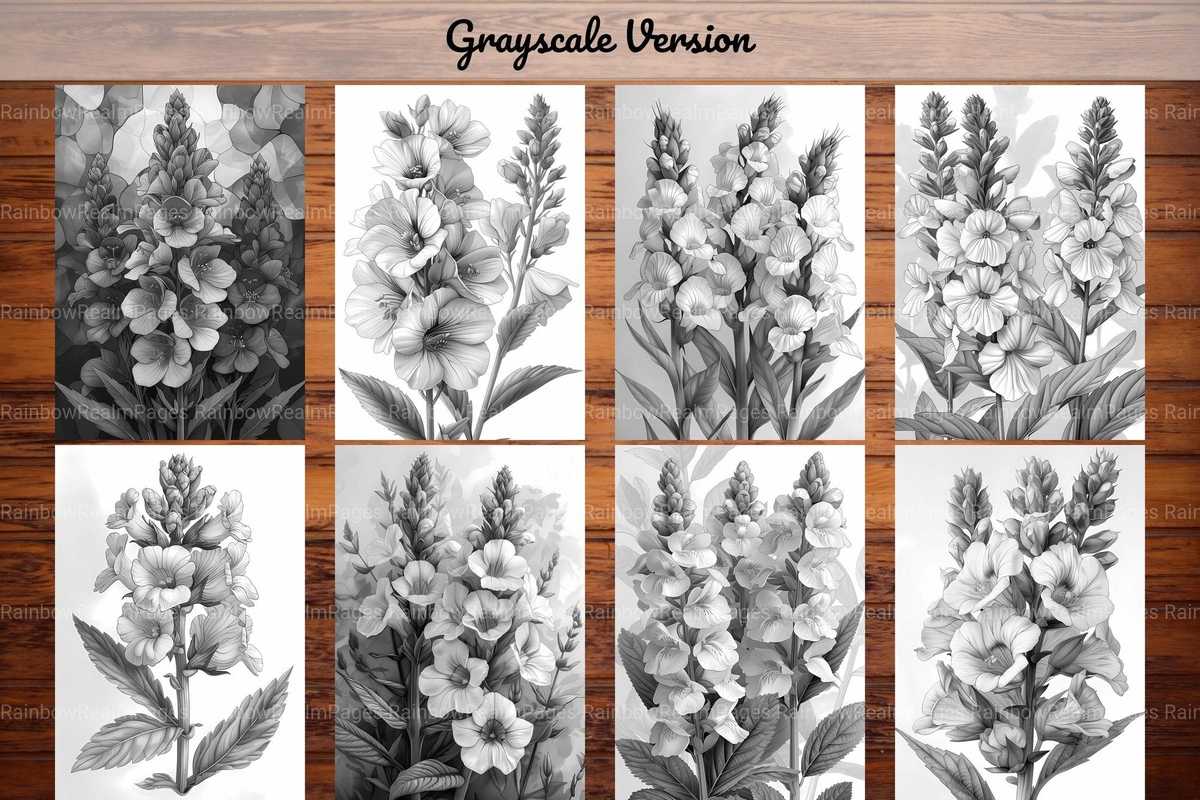 Flower Snapdragon Coloring Books - CraftNest