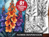 Flower Snapdragon Malbücher
