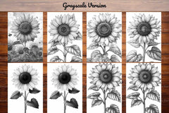 Flower Sunflowers Coloring Books - CraftNest