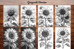 Flower Sunflowers Coloring Books - CraftNest