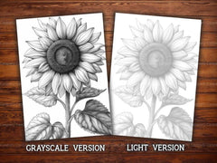 Flower Sunflowers Coloring Books - CraftNest