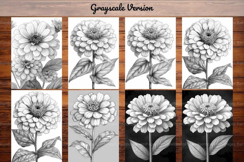 Flower Zinnias Coloring Books - CraftNest