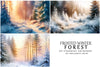 Frosted Winter Forest