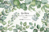 Greenery Bouquets Eucalyptus Clipart Bundle