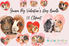 Guinea Pig Valentine's Day Clipart Bundle - CraftNest - Digital Crafting and Art