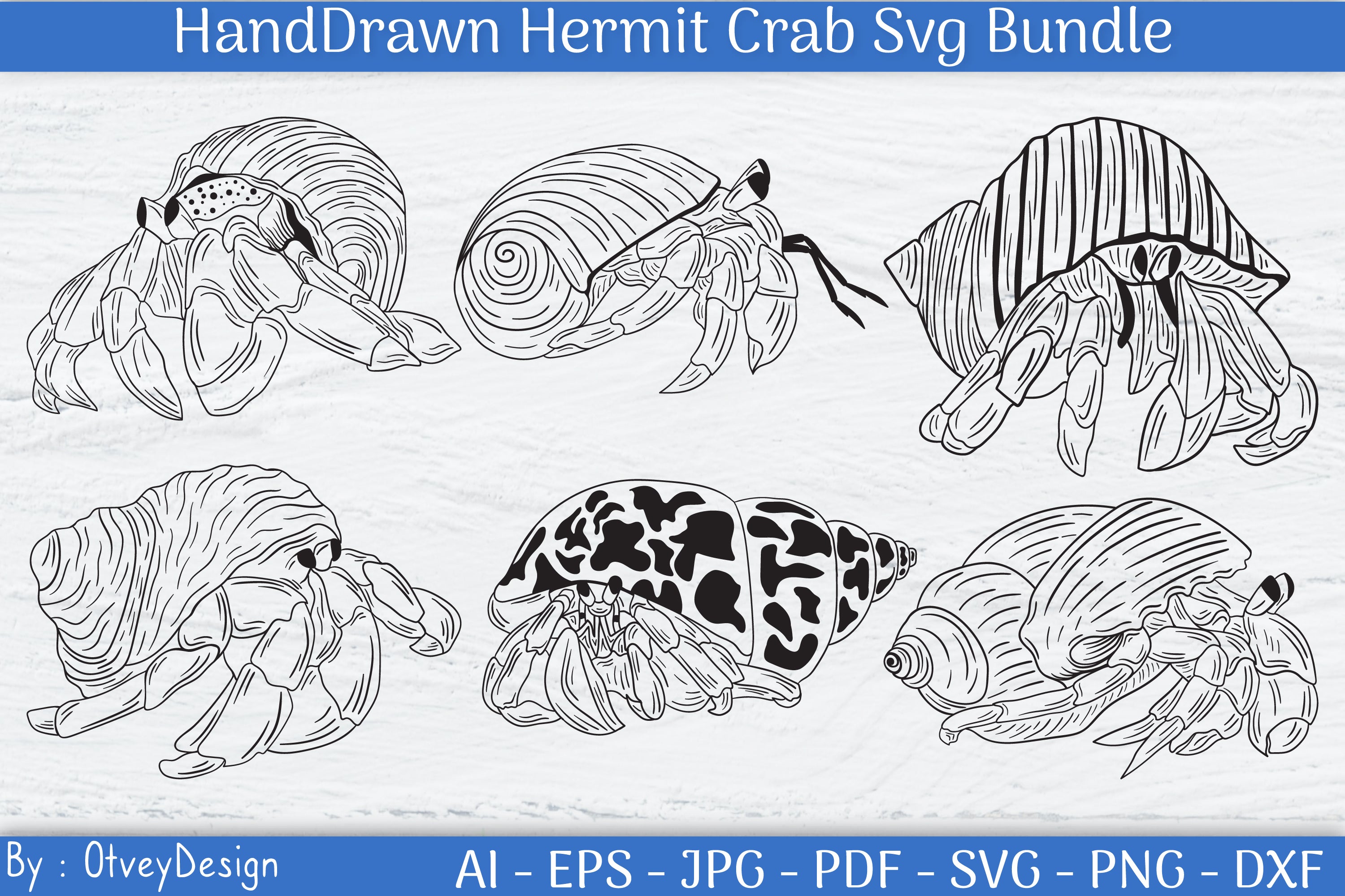 HandDrawn Hermit Crab SVG Bundle