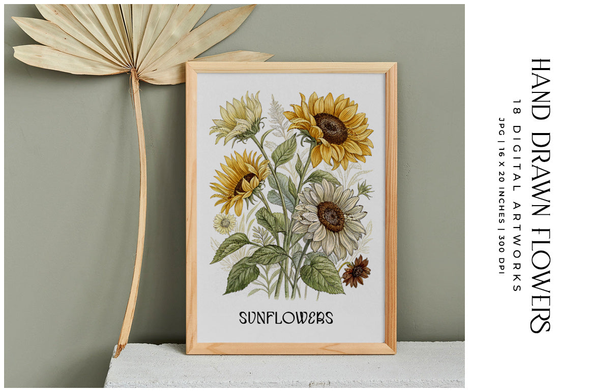 Hand-drawn Flowers - Floral