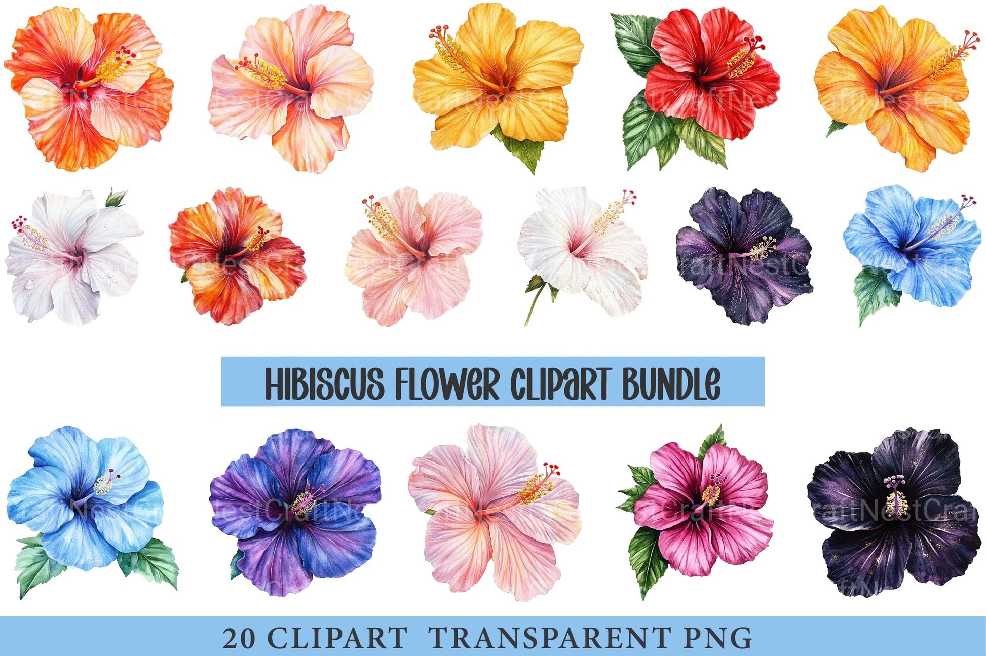 Hibiscus Flower Clipart Bundle - CraftNest - Digital Crafting and Art