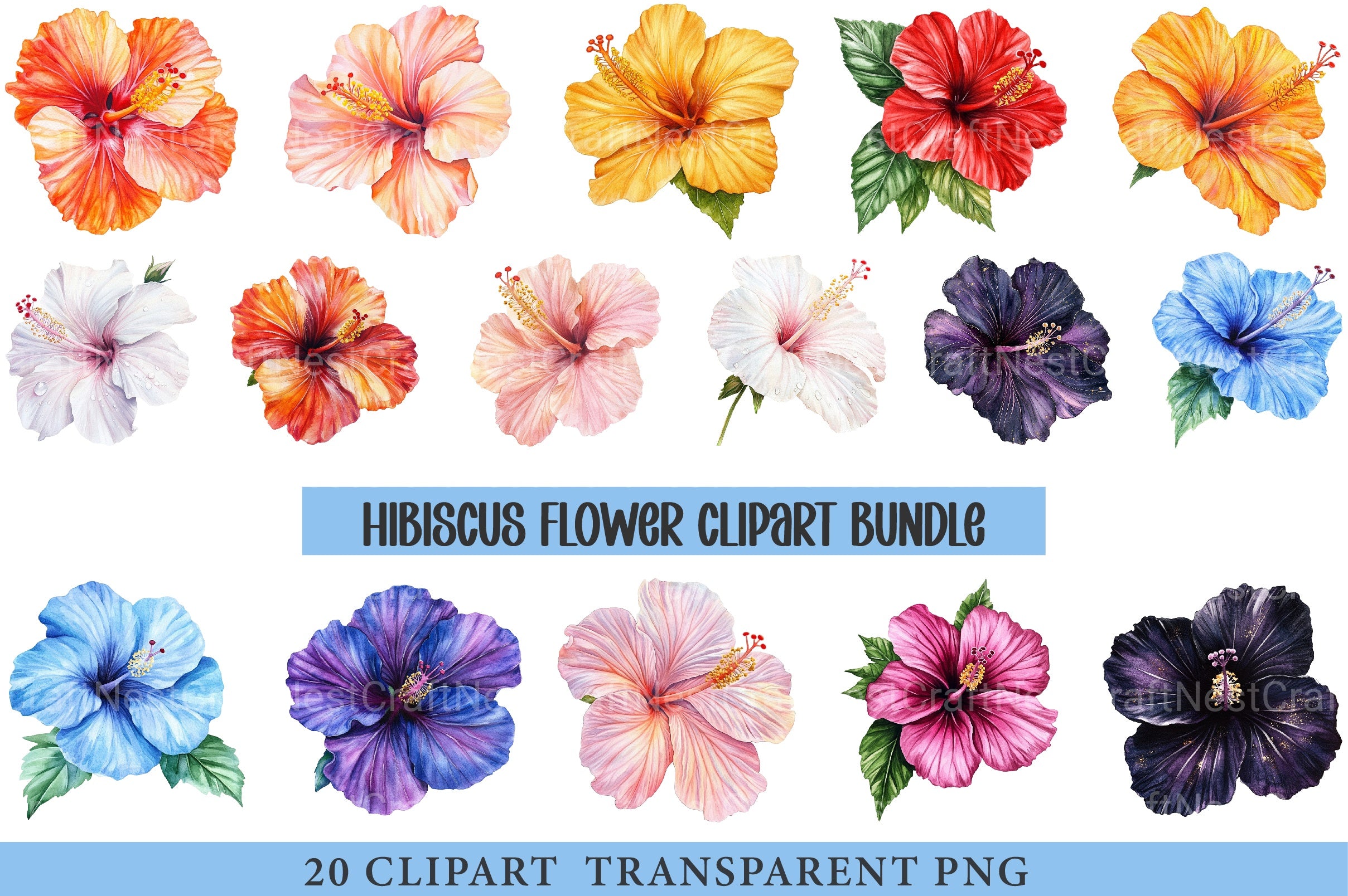 Hibiscus Flower Clipart Bundle - CraftNest - Digital Crafting and Art