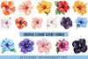 Hibiscus Flower Clipart Bundle