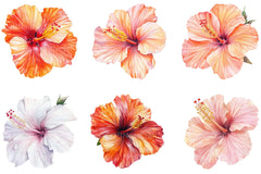 Hibiscus Flower Clipart Bundle - CraftNest - Digital Crafting and Art