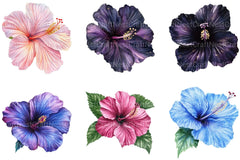 Hibiscus Flower Clipart Bundle - CraftNest - Digital Crafting and Art