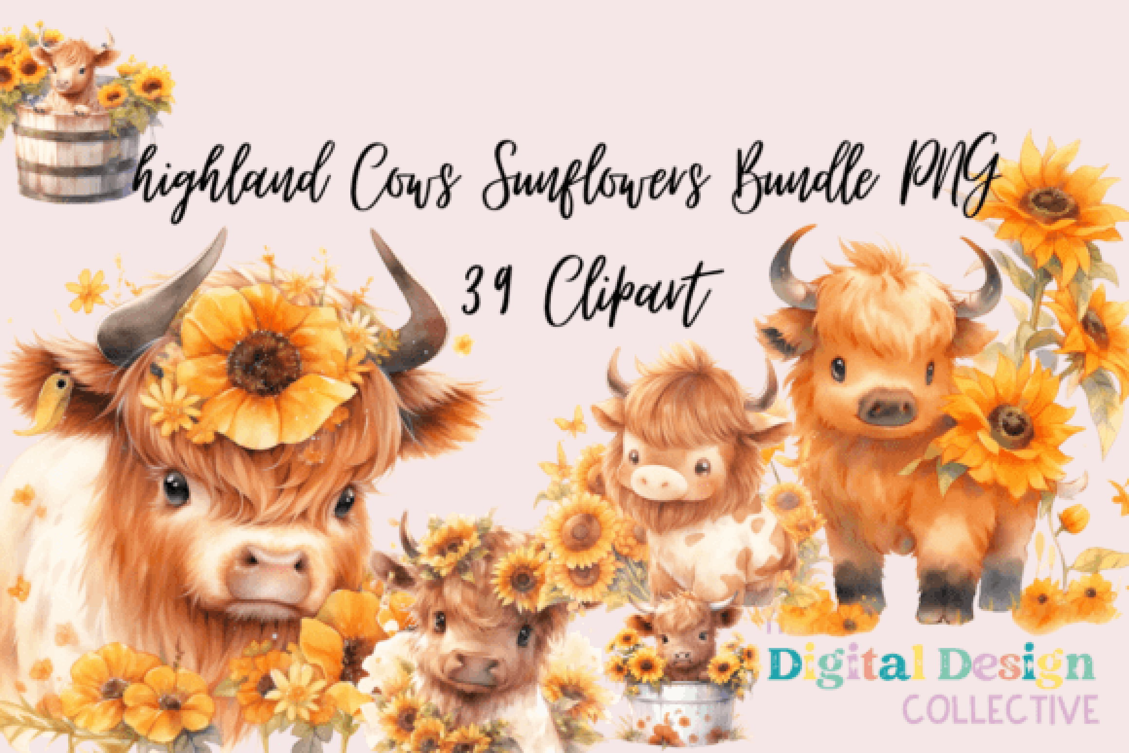 Highland Cows and Sunflowers Clipart Bundle
