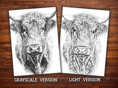 Highland Cow Summer Coloring Books - CraftNest - Digital Crafting and Art