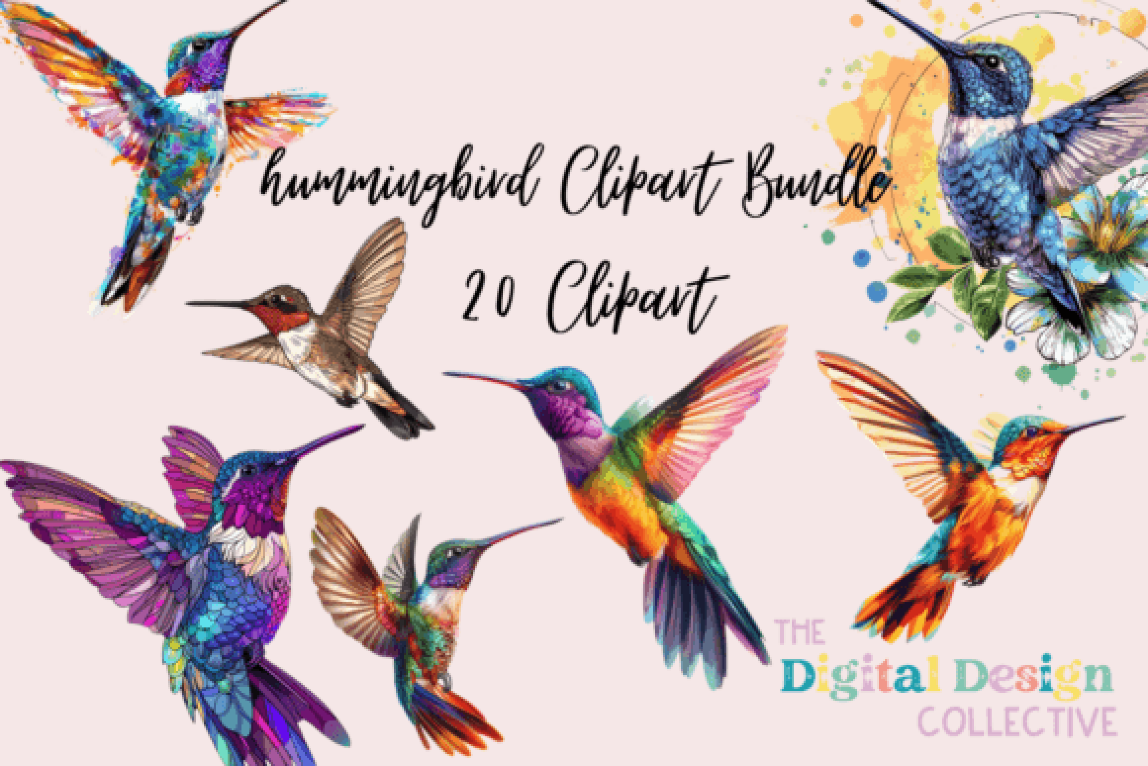 Hummingbird Clipart Bundle