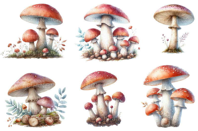 Mushroom Clipart Bundle 3 - CraftNest - Digital Crafting and Art
