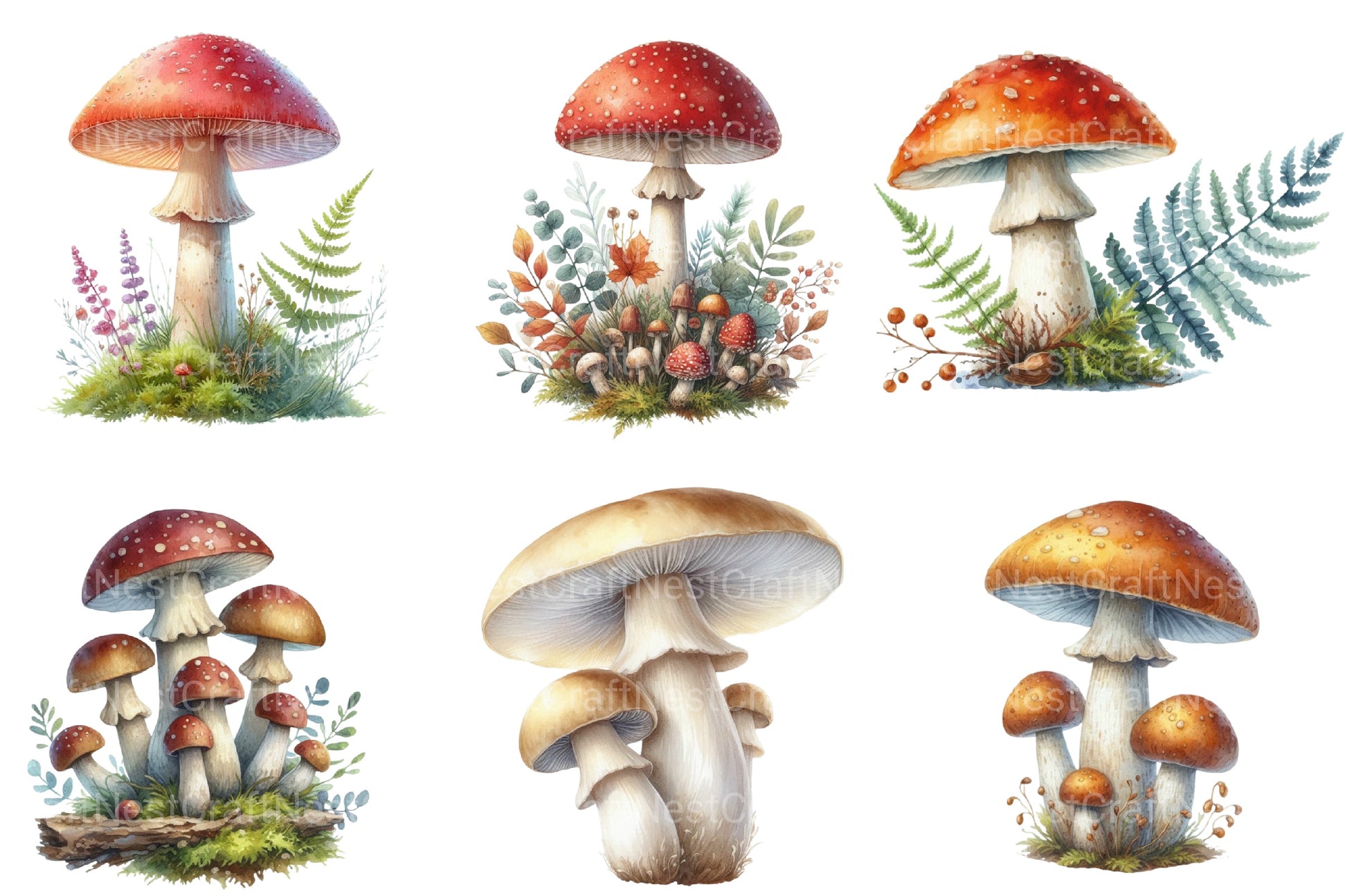 Mushroom Clipart Bundle 3 - CraftNest - Digital Crafting and Art