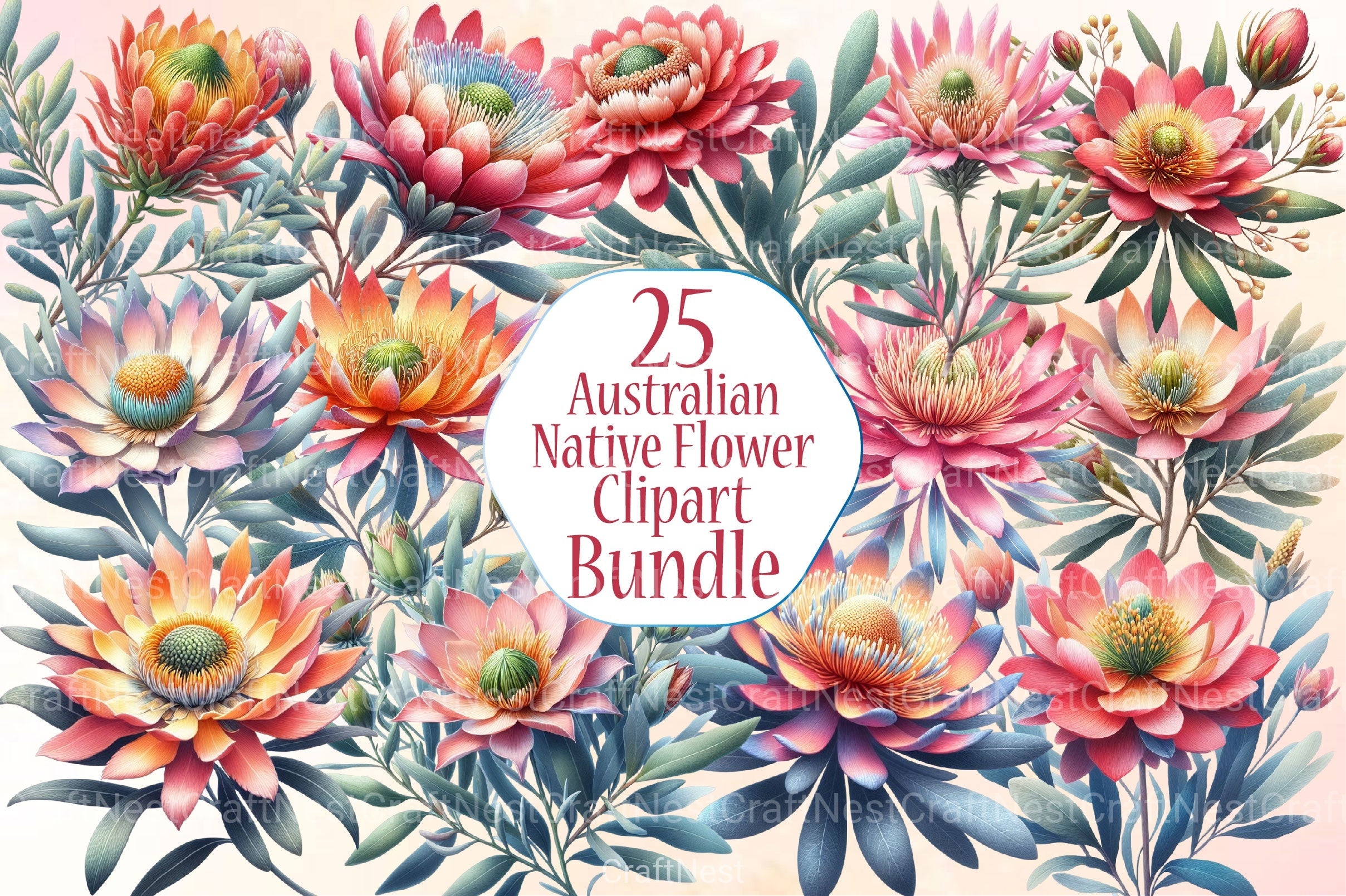 Australian Native Flowers Clipart Bundle - CraftNest - Digital Crafting and Art